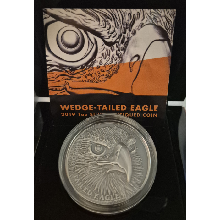 2019 Wedge-Tailed Eagle 🦅