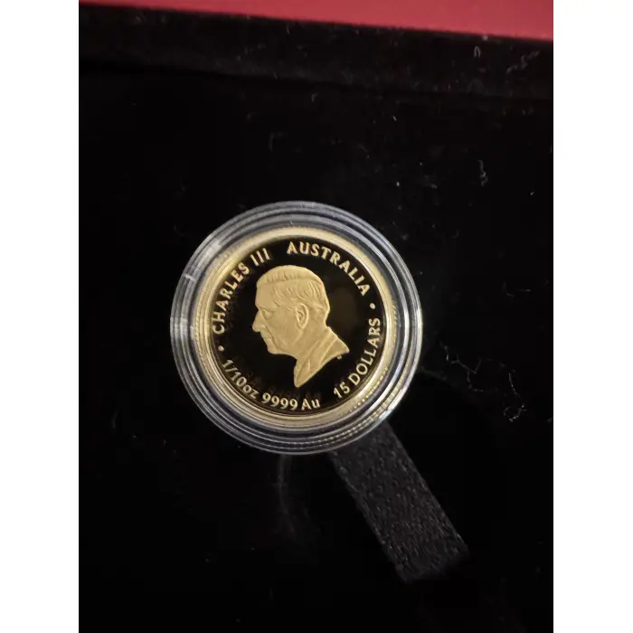 2025 Year of the Snake 1/10oz Gold Proof Coin