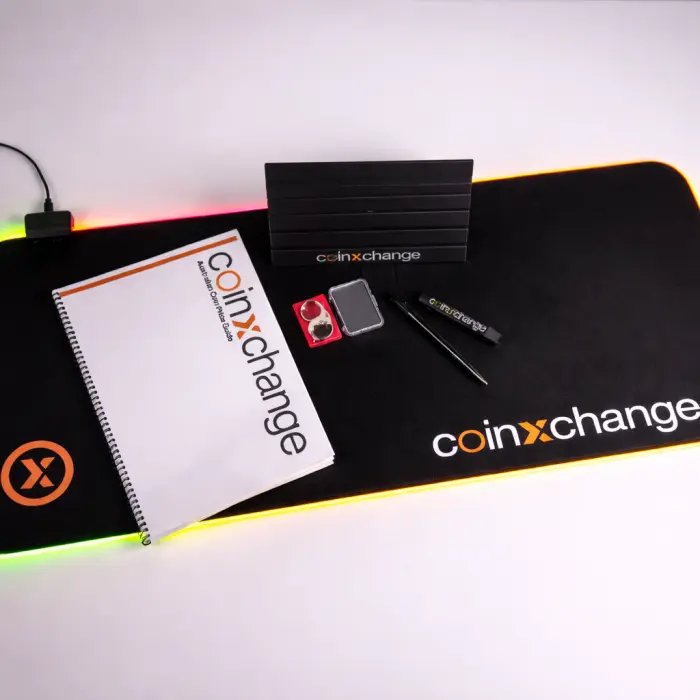 LED Noodle Bundle – 800×300