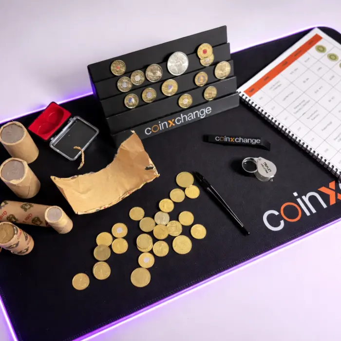 LED Noodle Bundle – 800×300