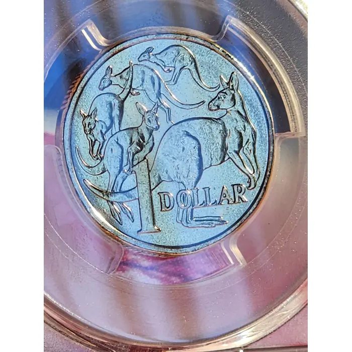 PCGS MS65 Dan Thorne Effigy