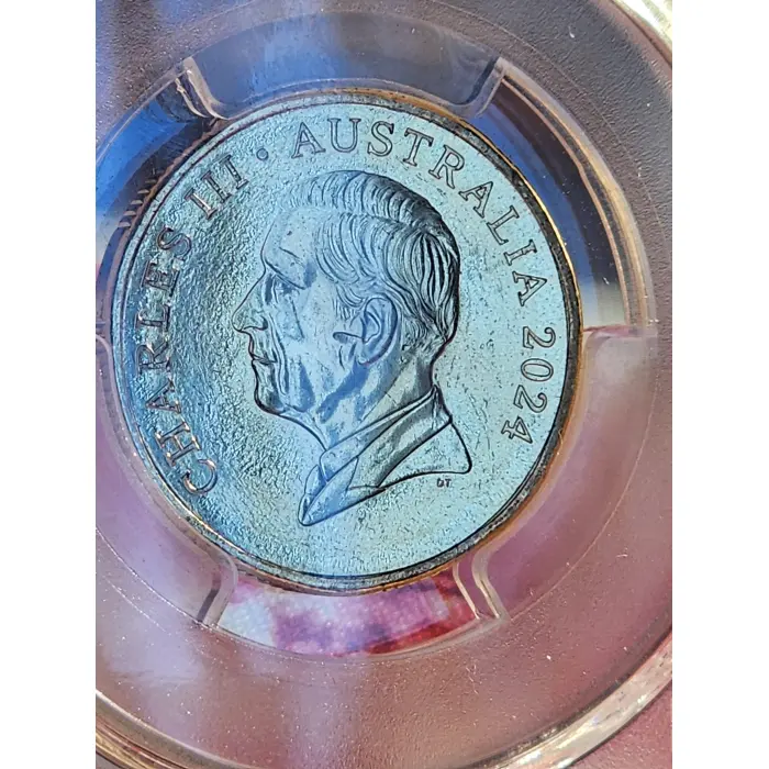 PCGS MS65 Dan Thorne Effigy