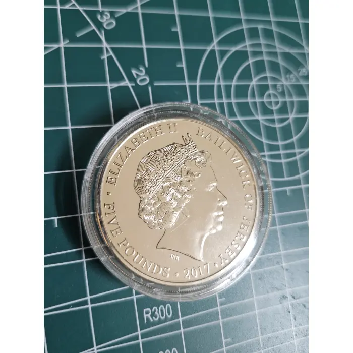 2017 Poppy's of remembrance 