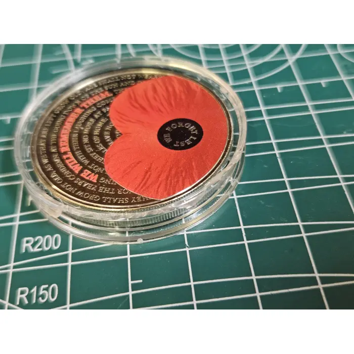 2017 Poppy's of remembrance 