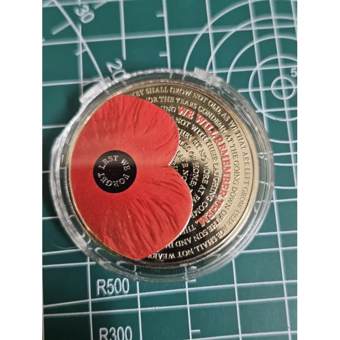2017 Poppy's of remembrance 