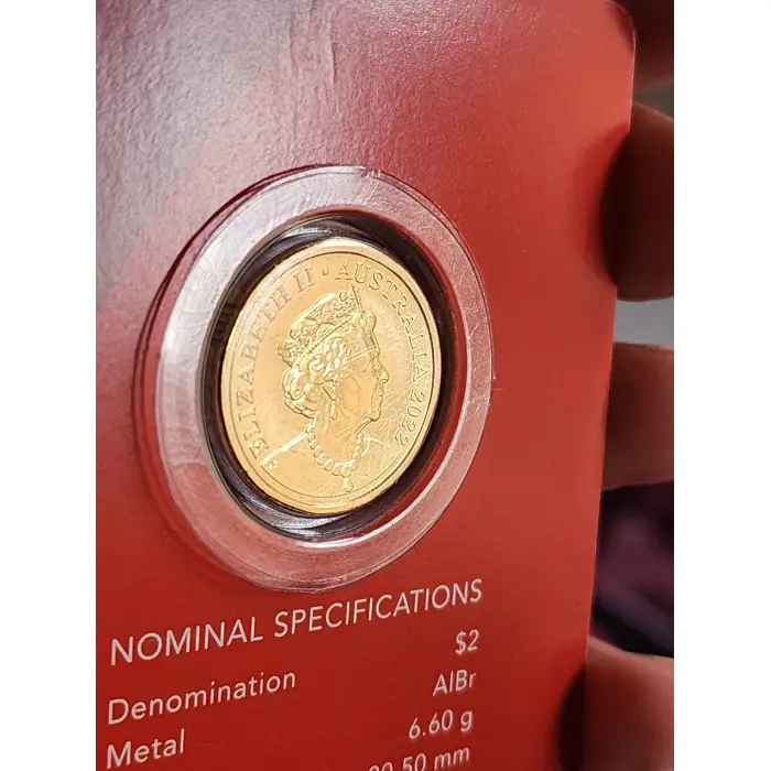 2022 red poppy capsule and card