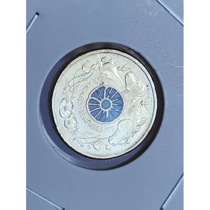 Purple poppy circulated with paint marks