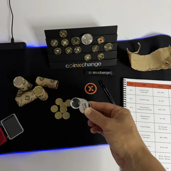 LED Noodle Bundle – 600×300 V2