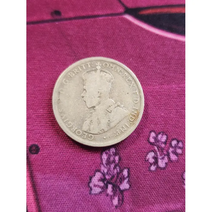 1913 florin lower mintage.