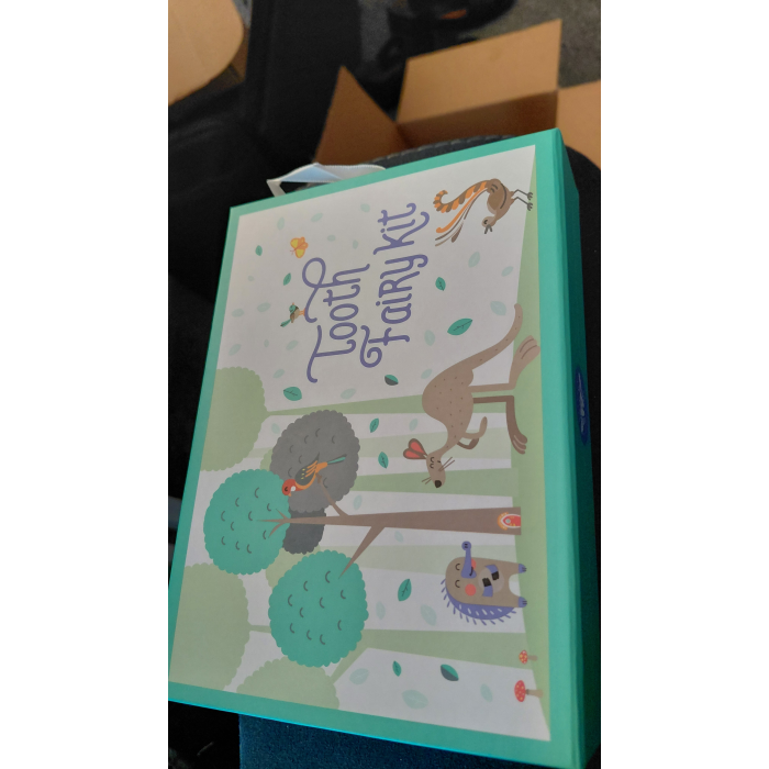 2024 Tooth fairy kit