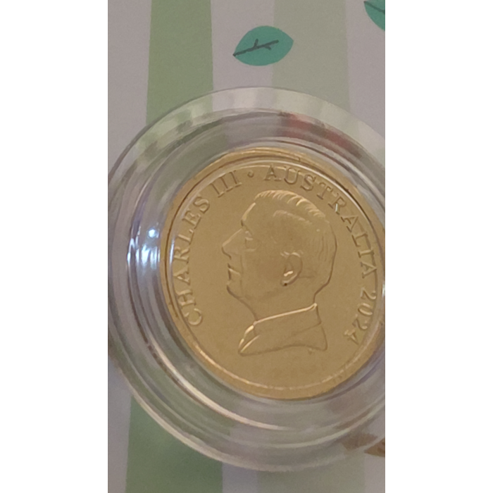 2024 Tooth fairy kit