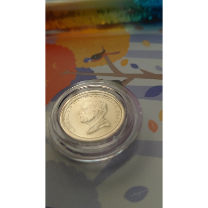 2025 Tooth fairy Kit