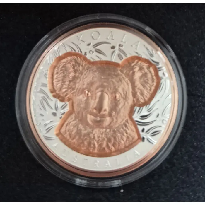 2025 Super Incused Koala