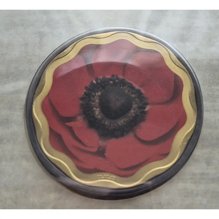 2011 Remembrance Day  🌹PNC