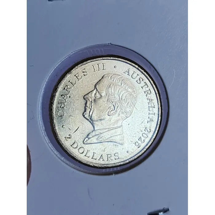 Red poppy wreath circulated 