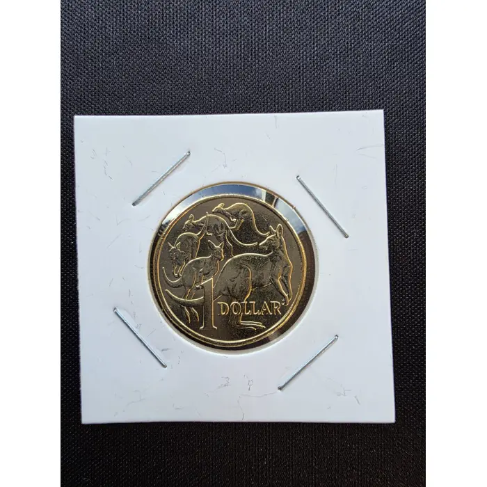 2025 Australian $1 Mob of Roos | Lightly Circulated | Low Mintage | Rare Date
