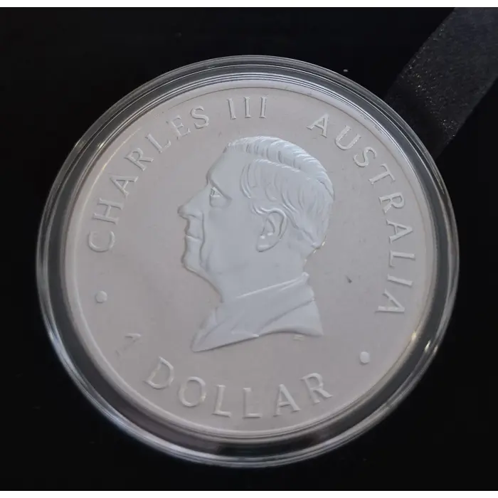 2025 Silver Swan Coloured Proof