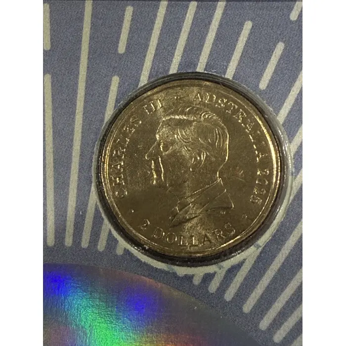 80th Anniversary- End of WWII Poppy Wreath Limited Edition PNC #0340/1111