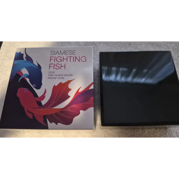2024 Siamese Fighting Fish 