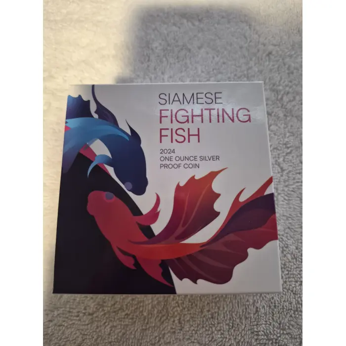 2024 Siamese Fighting Fish 