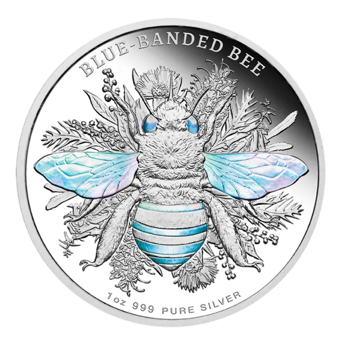 2025 AUSTRALIAN NATIVE BEES - BLUE-BANDED BEE 1OZ SILVER PROOF  COIN