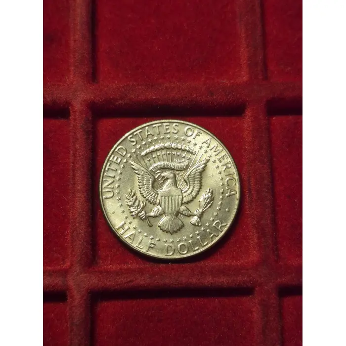 1967 HALF DOLLAR USA 🇺🇸 (SILVER)