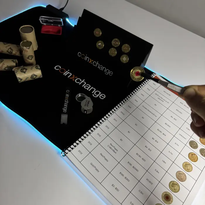 LED Noodle Bundle – 600×300 V1