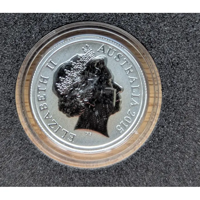 2015 Fine Silver Frosted Uncirculated $1 Coin Mintage Only 4433