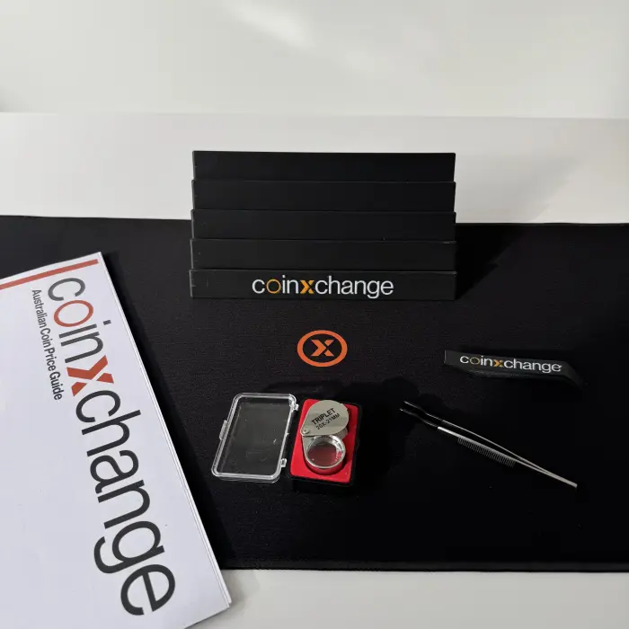 Noodle Bundle – 600×300 V2