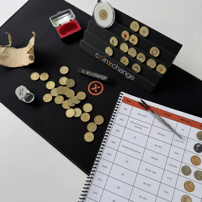 Noodle Bundle – 600×300 V2