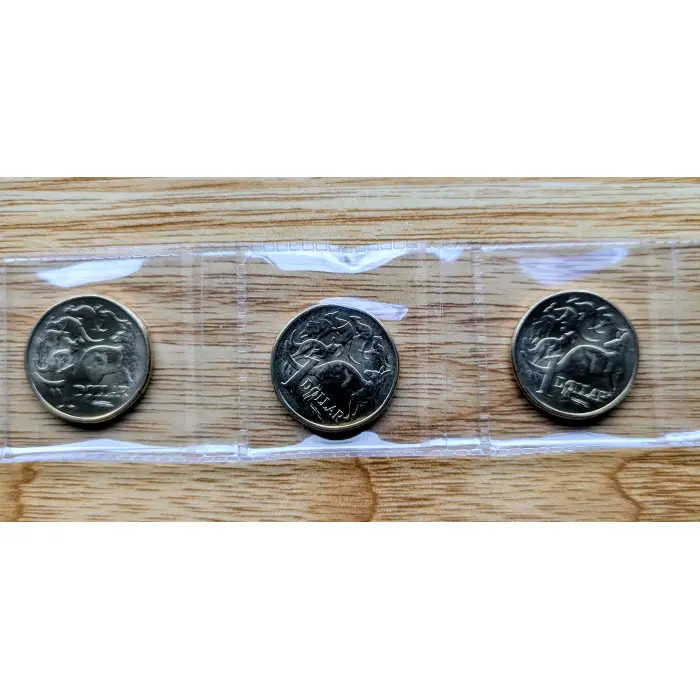 3 x 2026 $1.00 Coin 6 Roos UNCIRC
