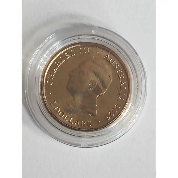 Single $2 coin dawn service edition uncirculated.