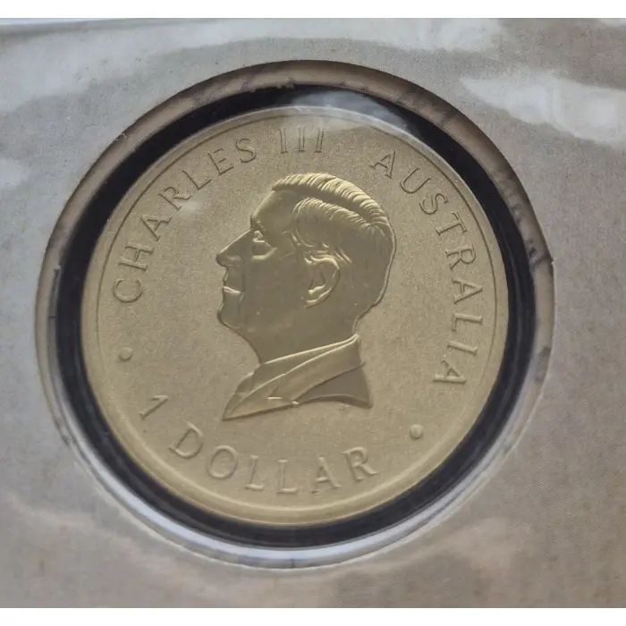 2025 Postcards From The Front Duo