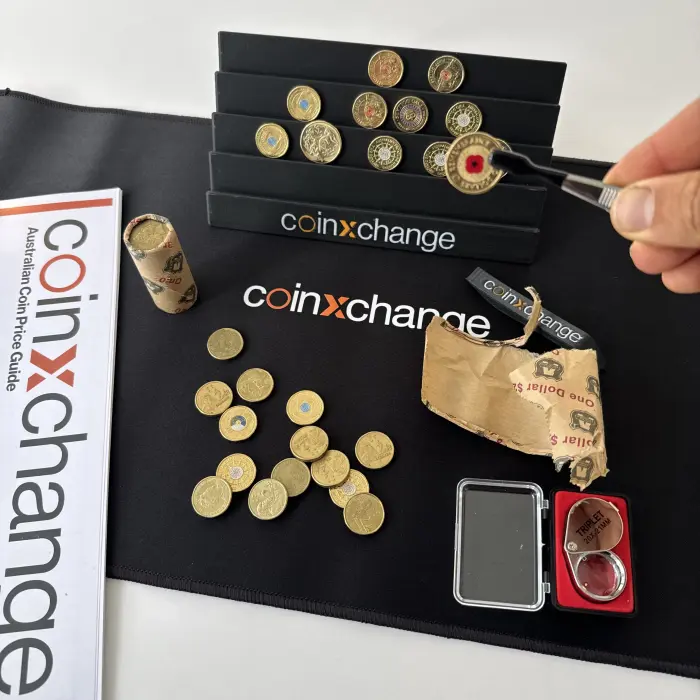 Noodle Bundle – 600×300 V1