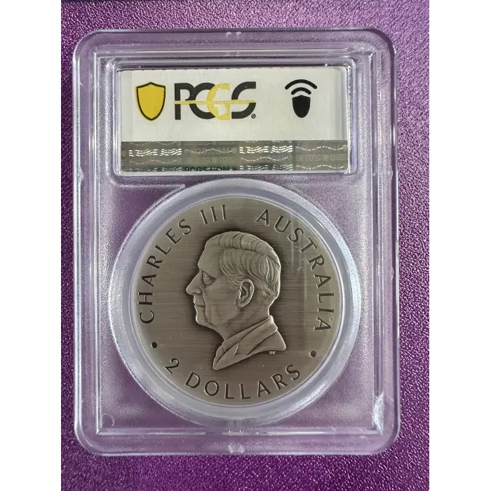 SP69 2oz Antiqued Honey Bee 2025