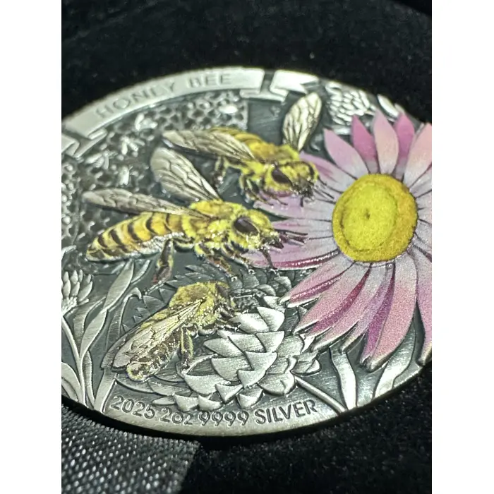 2025 2oz Antiqued Silver Coloured Coin