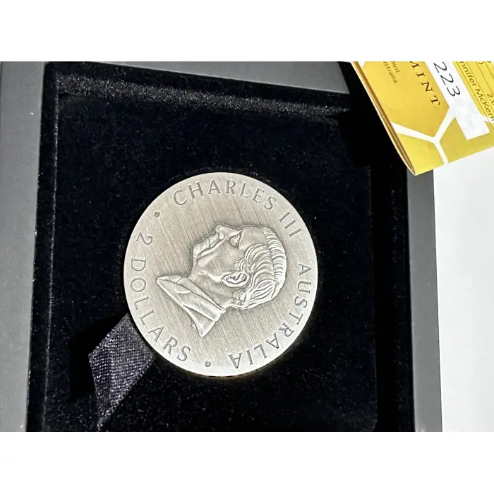 2025 2oz Antiqued Silver Coloured Coin