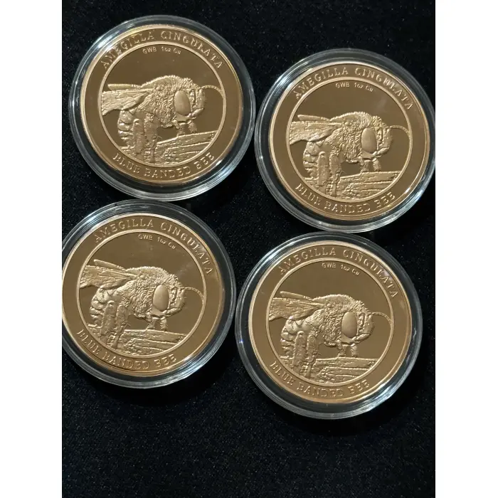 2’x Blue Banded Bee 1oz Copper GWB Rounds