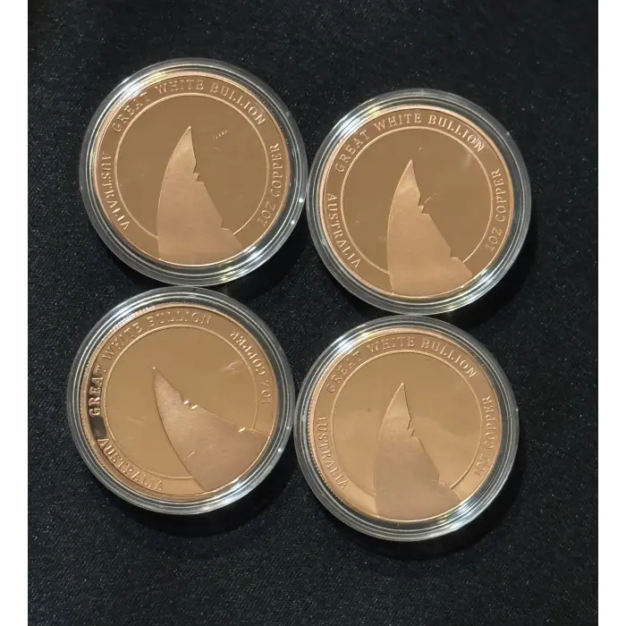 2’x Blue Banded Bee 1oz Copper GWB Rounds