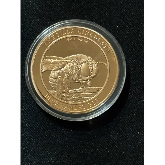 2’x Blue Banded Bee 1oz Copper GWB Rounds