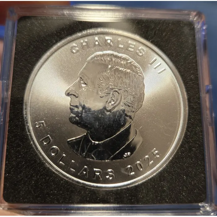 2025 Winter bumble bee 1 oz .999 silver ag $5 Canadian coin COA 13/ 200 low mint