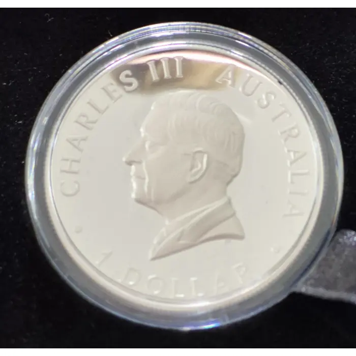 2026 Kangaroo 🦘 Silver Proof