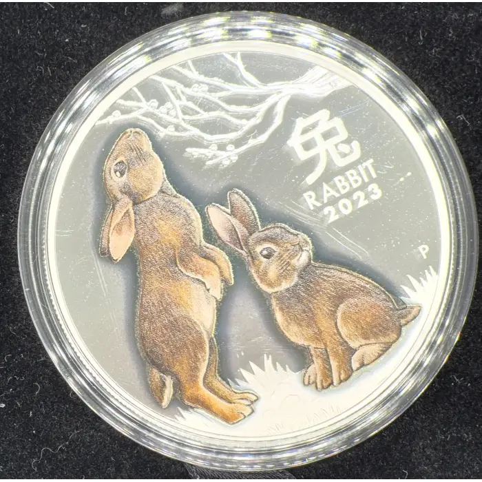 2023 Year of The Rabbit 🐇 