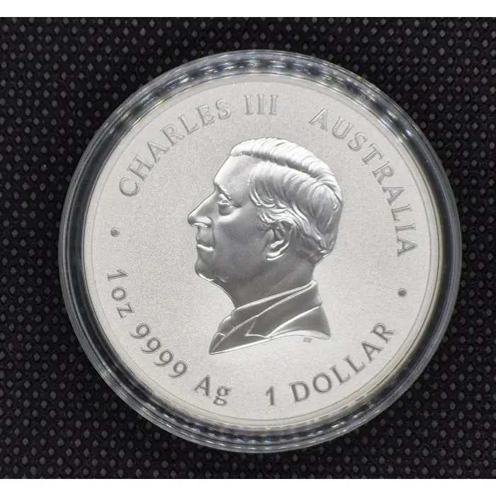 2025 Silver Lunar Snake Bullion 