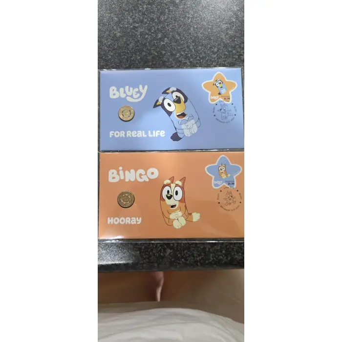 BLUEY AND BINGO PNC's set