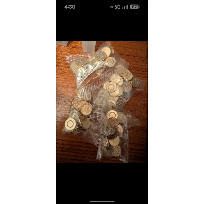 $2 Bluey and Bingo coin RAM  bags UNC