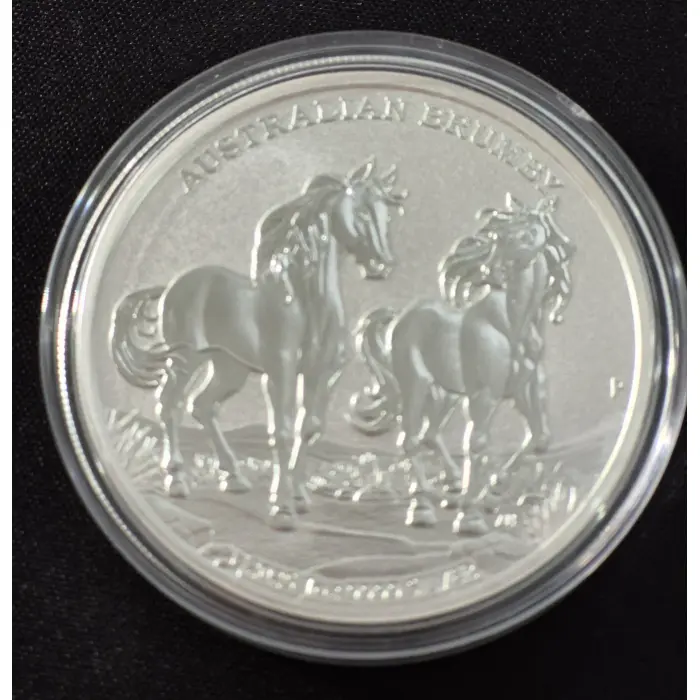 Australian Brumby 🐎 Trio