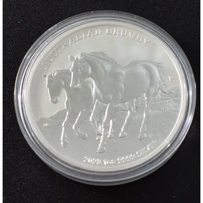 Australian Brumby 🐎 Trio