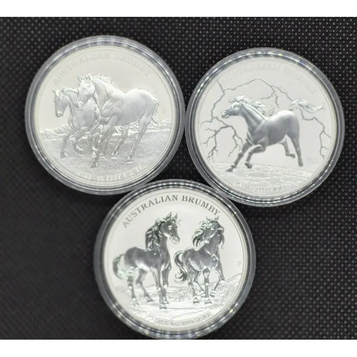 Australian Brumby 🐎 Trio