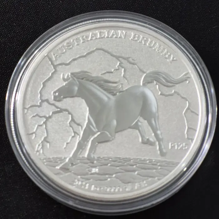 Australian Brumby 🐎 Trio